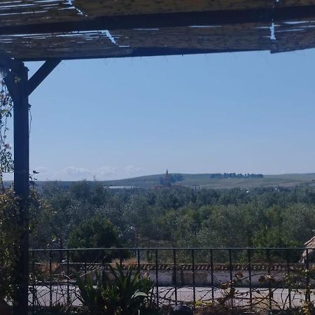 דירות קורדובה My Small Penthouse With Views.Tourism & Tranquility & Sun מראה חיצוני תמונה